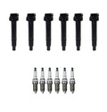 Set of 6 Denso Ignition Coils & Iridium Spark Plugs for 2.5 3.5 V6