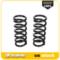 2X Front Coil Springs for Chevrolet S10 Camaro Isuzu GMC (1982–1996)
