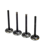Intake & Exhaust Valve for EZGO Gas Golf Cart Fuji-robin (1992–2002)