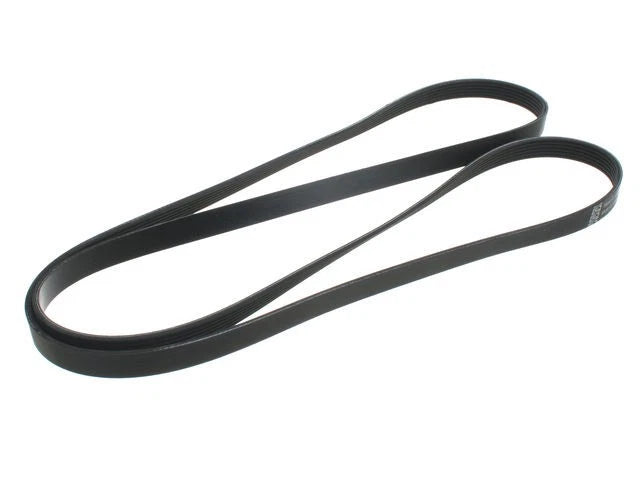 Multi Rib Belt for Mazda CX-7 (2008–2012) XV954BT