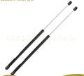 2X Front Hood Lift Support Gas Struts for Dodge Durango (2011–2018)