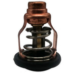 Thermostat for Yamaha F80B F100D Outboard Motor (4-Stroke) (6D9-12411-00)