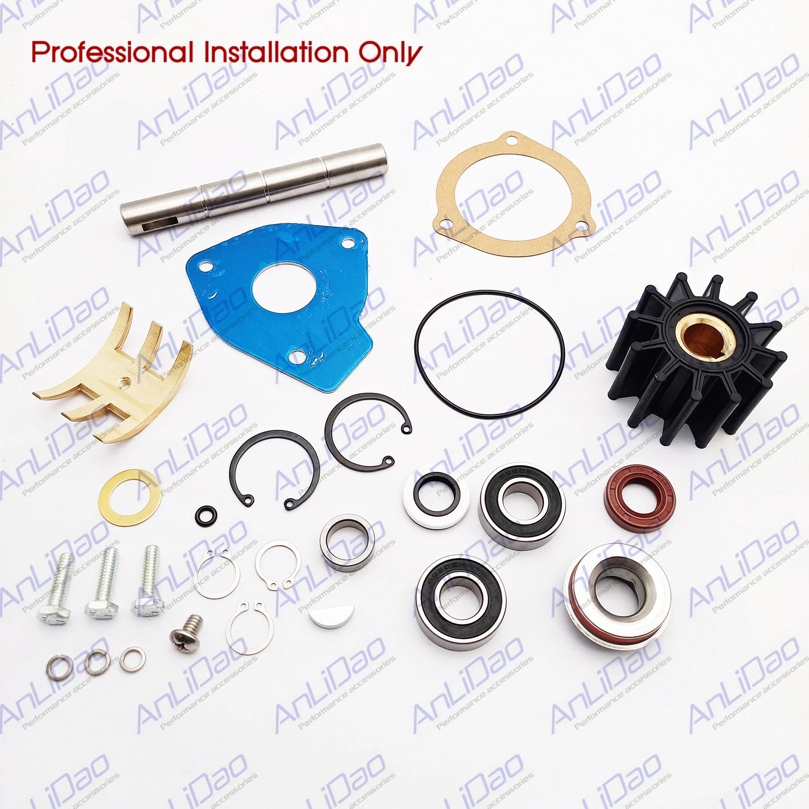 Pump Major Repair Kit for Cummins Sherwood M70 M71 23977 3912019 3907458 10514