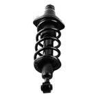 2X Rear Struts w/ Coil Spring Assembly for Honda Civic (2001–2005) 171340R