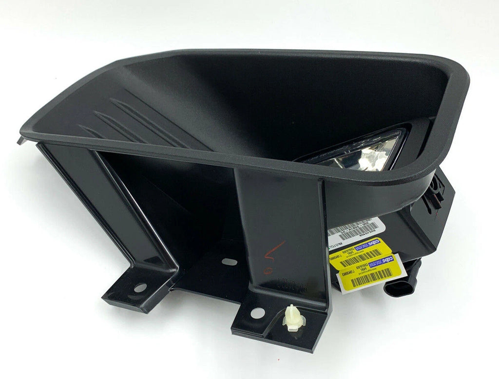 LH Side Halogen Fog Light Lamp Assembly for 2018–2020 Ford F-150