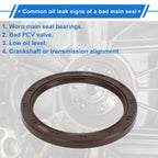 1 Pc Rear Crankshaft Oil Seal for Nissan Altima Stanza (1993–1997) No. 12279-5L310