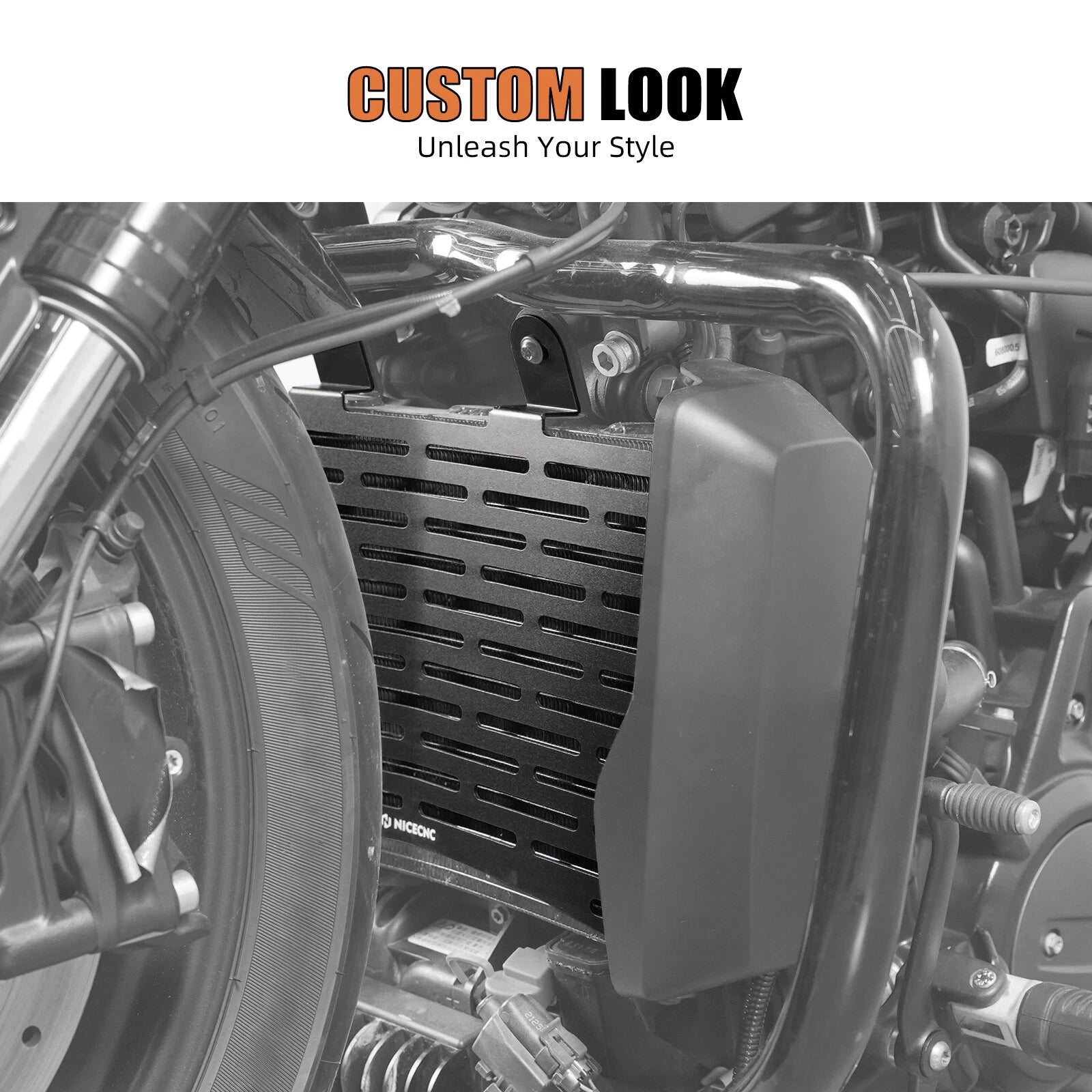 Radiator Guard Cover Kit for Harley Sportster S RH1250S (2021–2024)