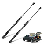 20" Gas Struts for Boat Hatch (C16-08260) (2010–2019)