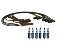 Set of 6 ACDelco Platinum Spark Plugs & Ignition Wire Set for Chevy 3.4 (VIN F)