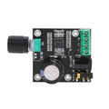 Dual Channel Amp Board for 12V Power Supply (Class D)