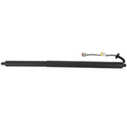 Liftgate Lift Support for Ford Kuga & Escape (2013–2019)