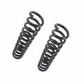 2X Front Coil Spring for Mercedes W140 S600 S500 S420 CL600 500SEL