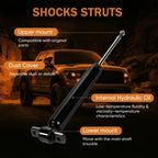 Set of 2 Rear Shocks Struts Assembly for Ford Fusion (2013–2020)