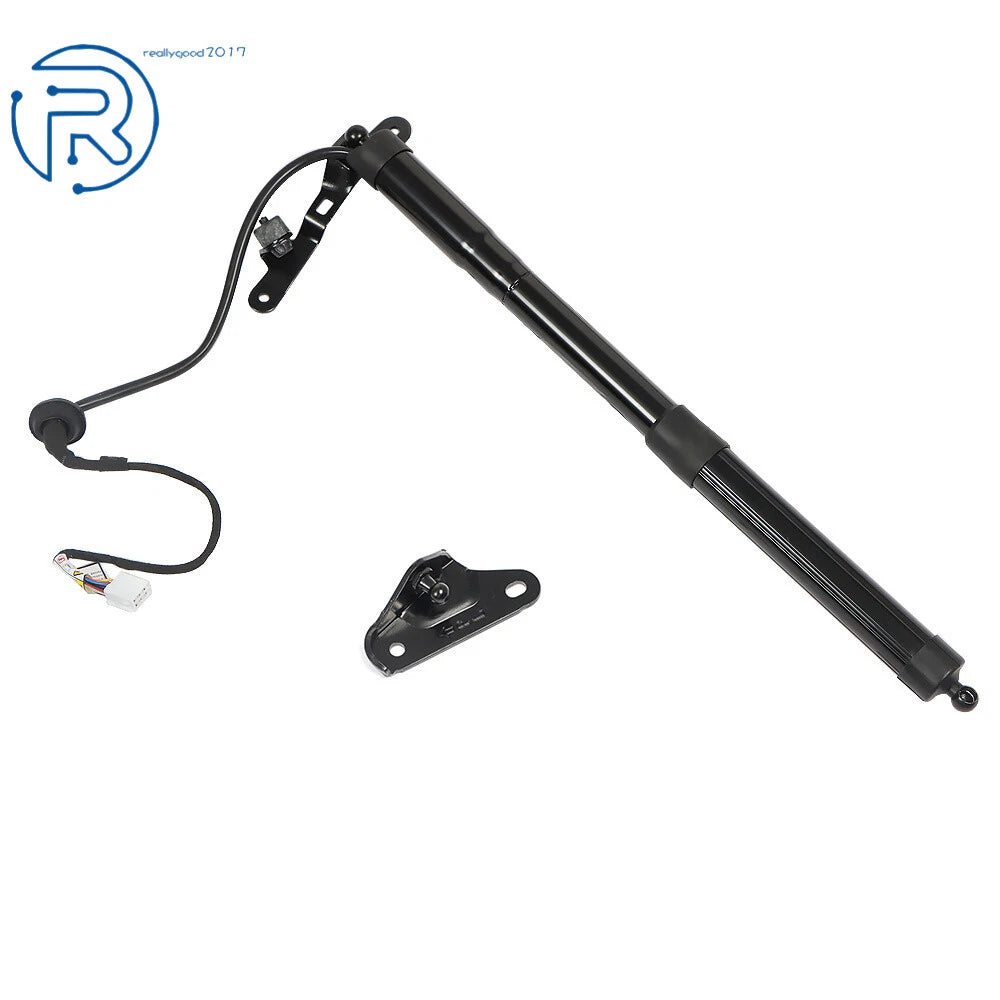 Rear Tailgate Lift Support for Toyota RAV4 (2013-2016)