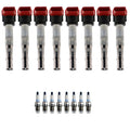 Set of 8 Ignition Coils & Spark Plugs for Audi R8 S5 V8 (2007–2019)