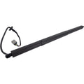 Liftgate Lift Supports Set of 2 for S Pair