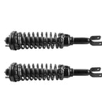 2X Rear Struts w/ Coil Spring Assembly for Honda Civic (1996–2000)