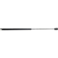 Liftgate Glass Lift Supports for Chevy Olds (Driver or Passenger Side)