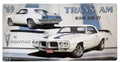 Tin Metal Sign for Pontiac Trans Am Ram Air IV (1969) - 19 x 10 in