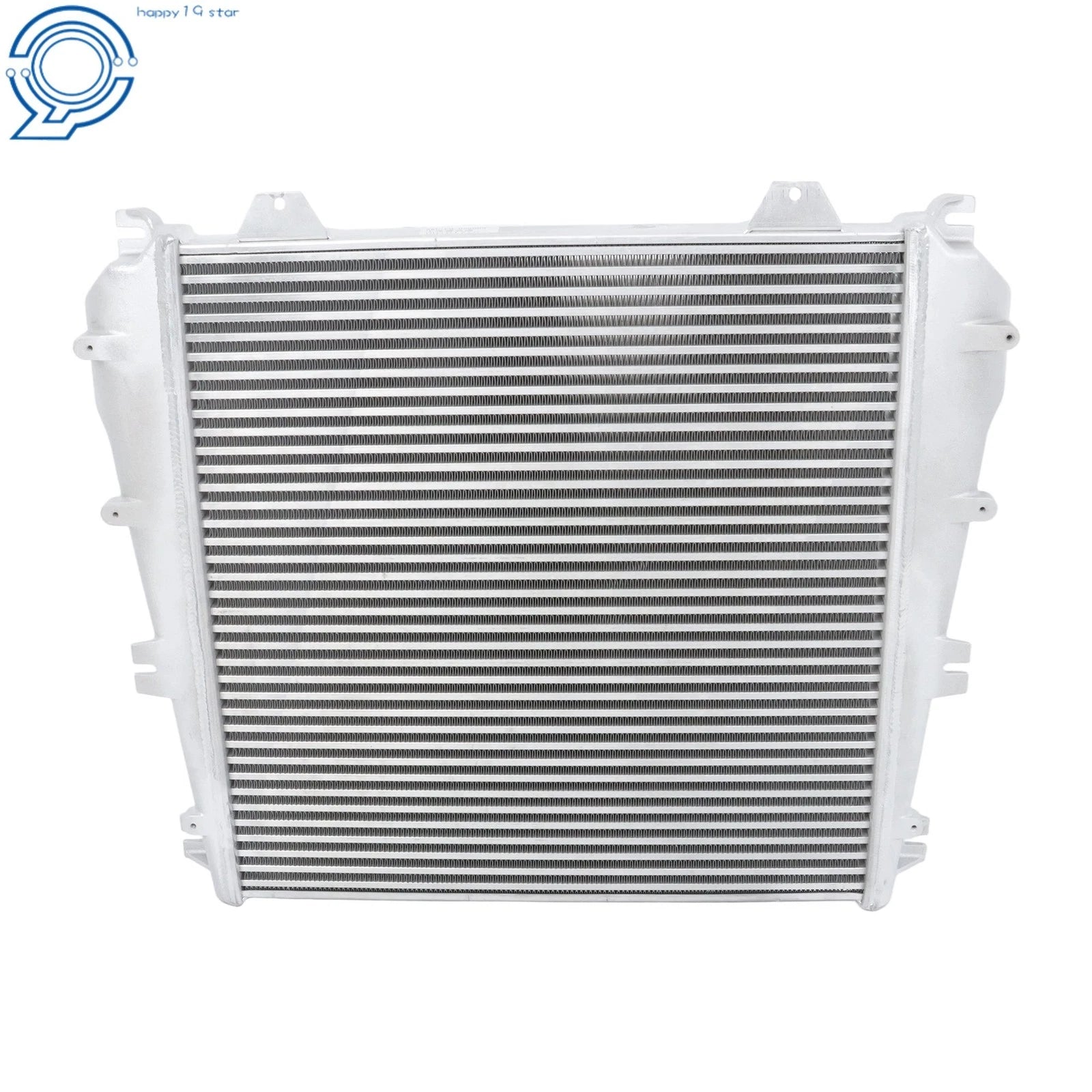 Charge Air Cooler Intercooler for Freightliner FL60 FL70 FL80 FS65 (BHT61996)