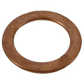 Oil Filter Brass Gasket for (381732R91, 3H1918G11)