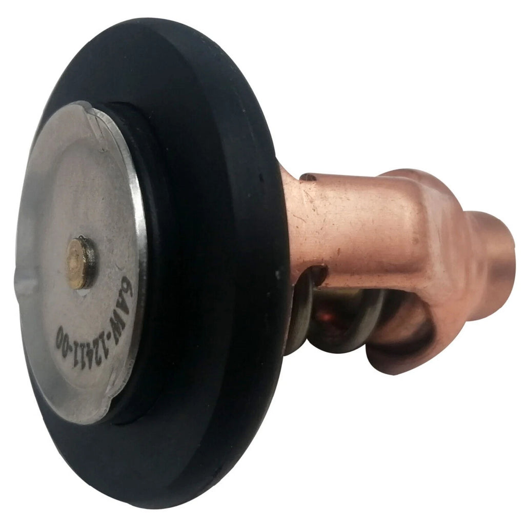 Thermostat for Yamaha F LF 300 350 A B C (2000–2023) 6AW-12411-00