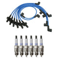 NGK Wire Set & Denso 6 Platinum TT Spark Plugs Kit for Dodge Charger, Town & Country (2006–2010)