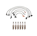 Denso Wire Set & 6 Double Platinum Spark Plugs for Ford 4.2 V6 (2000–2003)