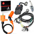 Ignition Coil CDI Spark Plug Wire Harness for Honda FourTrax TRX300 (1997–2000)