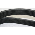 Drive Belt for Chevrolet S10, Mitsubishi Galant (1998–2012)