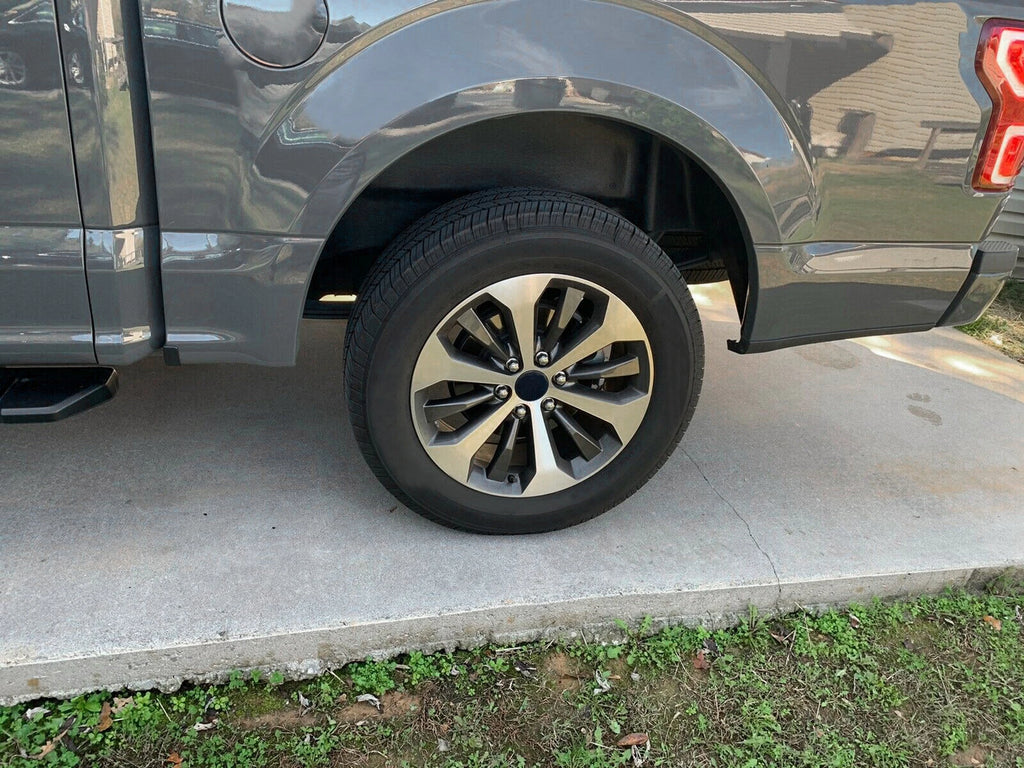 Rear Wheel Well Guards for Ford F-150 (2015-2020)