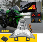 Tail Light Assembly for Kawasaki Ninja ZX-10R (2006–2023)