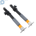 Set of 2 Rear Shock Absorber Struts for Hyundai Equus (2011–2016)