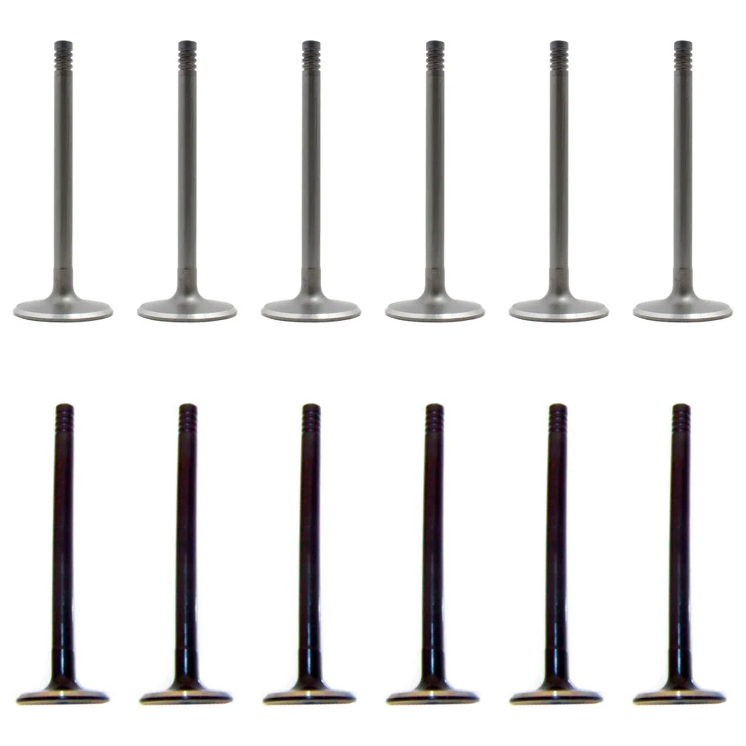 Set of 12 Intake & Exhaust Valves for Ford Mustang Taurus Thunderbird (3.8 V6)