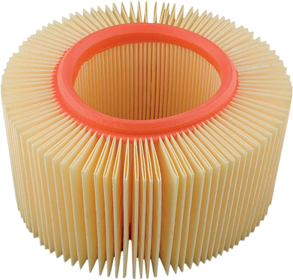 HIFLOFILTRO Air Filter for BMW (HFA7910)