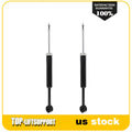 Set of 2 Rear Struts for Chrysler 200 (2015–2017)