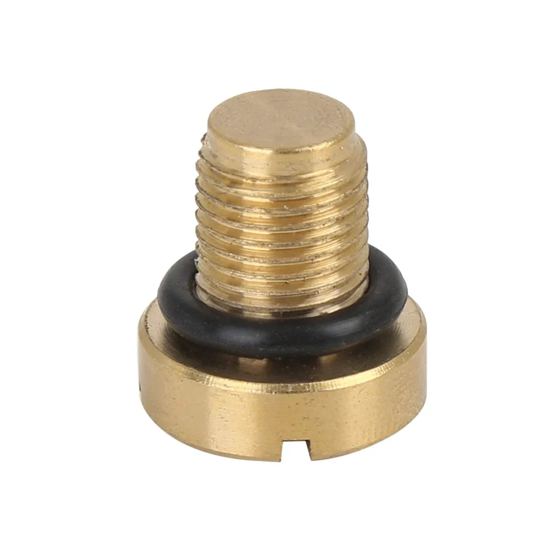 Bleeder Screw Reservoir Plug for BMW X1 X3 X5