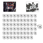 60 x Chrome Engine Bolt Caps Covers for Harley Evolution Engines (1984-1999)