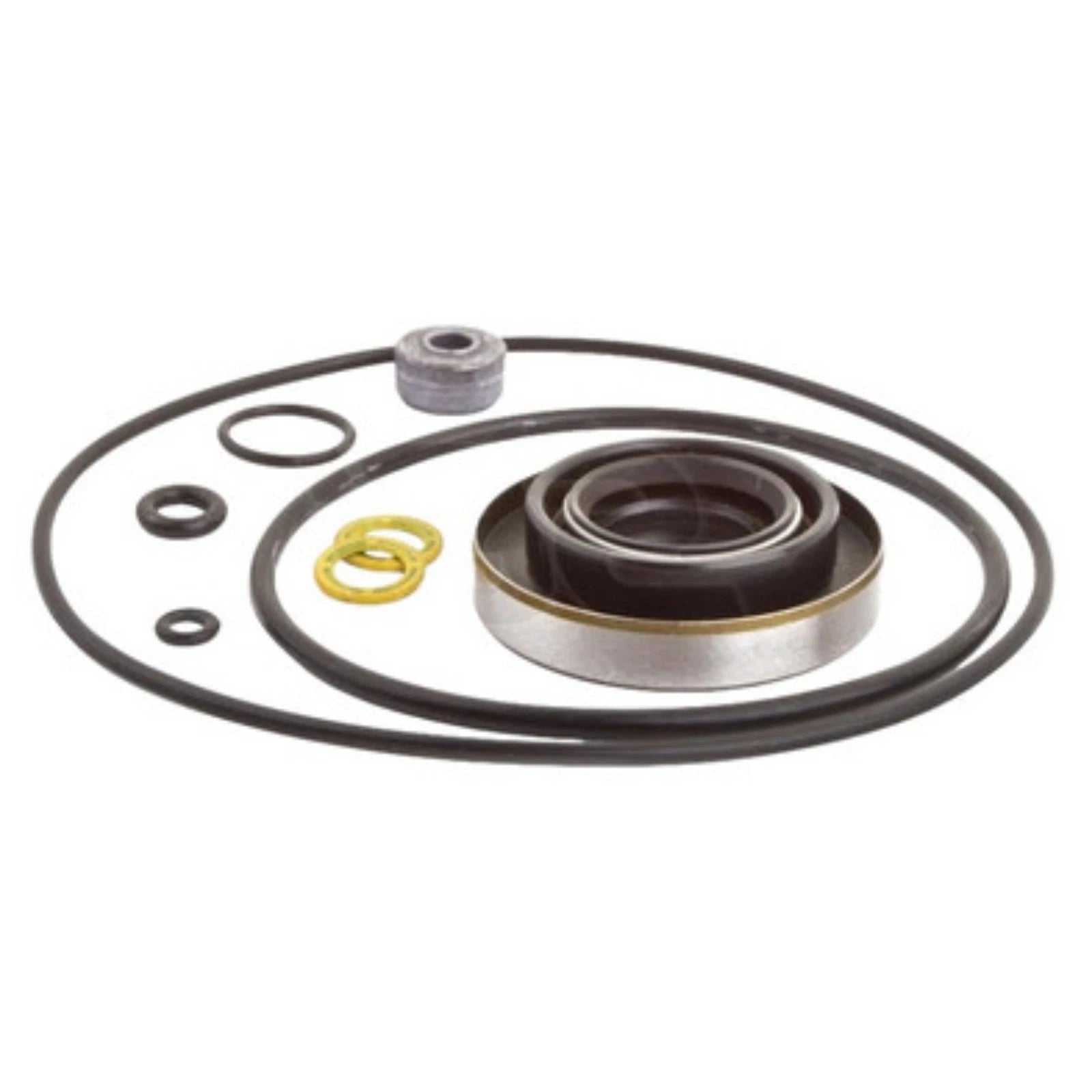 Seal Kit for Force 70-105HP Lower Gearcase (1970–1979) FK1061 18-2631 87801