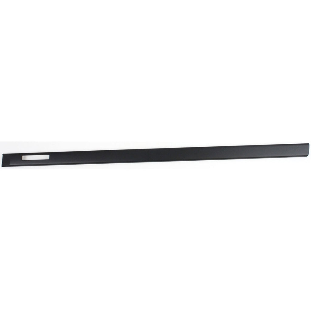 Set of 2 Door Molding and Beltlines for Coupe