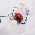 Fuel Pump Assembly for Yamaha YZF-R6/YZF-R1/FZ6 (2004-2010)