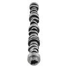Camshaft for Chevrolet Camaro (2014-2021)