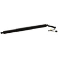 Liftgate Lift Supports for Audi Q5 (2018–2023)