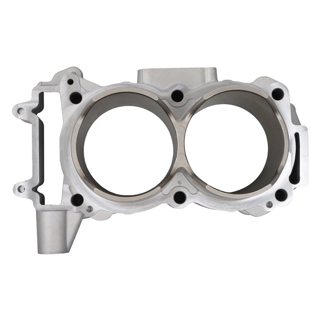 Engine Cylinder for Polaris 900 RZR XP (2013â2014) 99mm Bore