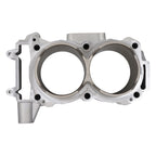 Engine Cylinder for Polaris 900 RZR XP (2013â2014) 99mm Bore