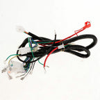 Quad Wiring Harness for 200 250cc Chinese Electric Start (Loncin, Zongshen, Ducar, Lifan)