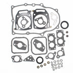 Gasket Set for Lawn Mower 842663 (36pcs)