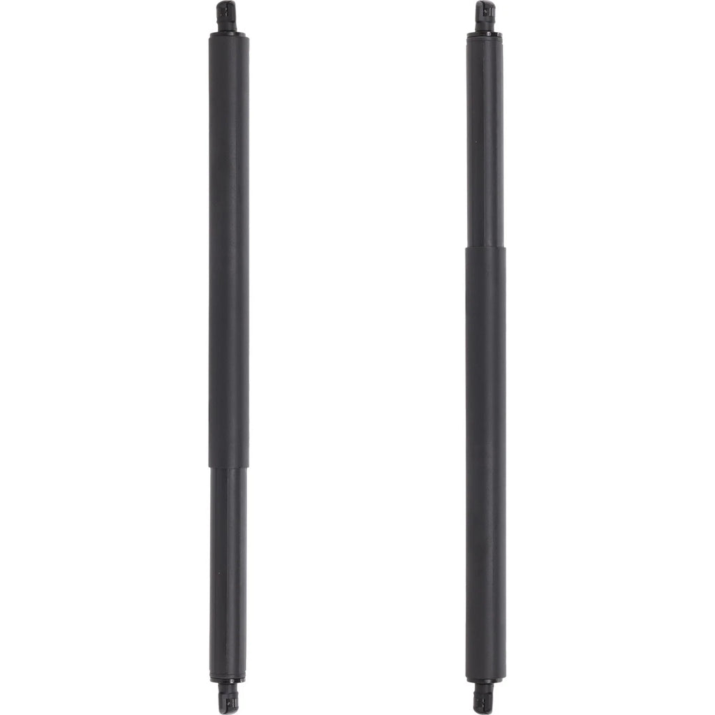 Liftgate Lift Supports Set of 2 for Chevy Equinox