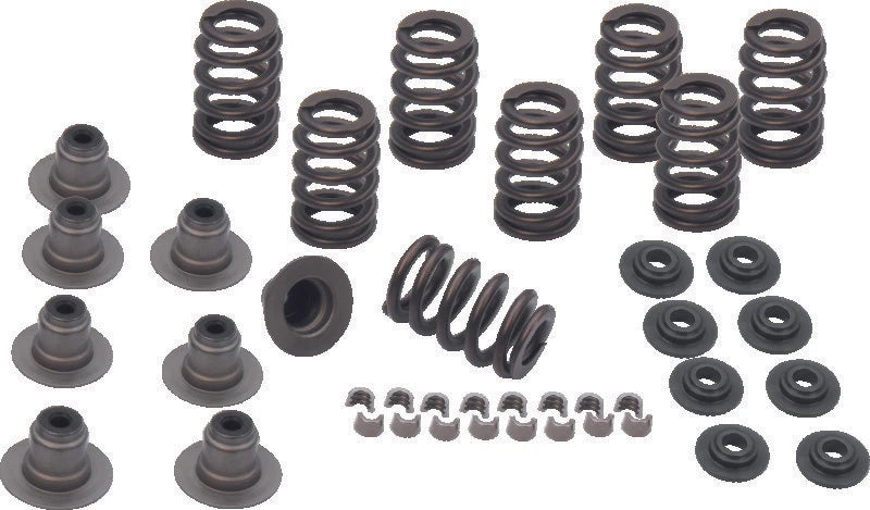 Valve Spring Kit for S&S Cycle M8 Models (2017–Present) - .605in