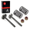 Intake/Exhaust Valve Replacement for Club Car DS Precedent FE290 (1992–2023)
